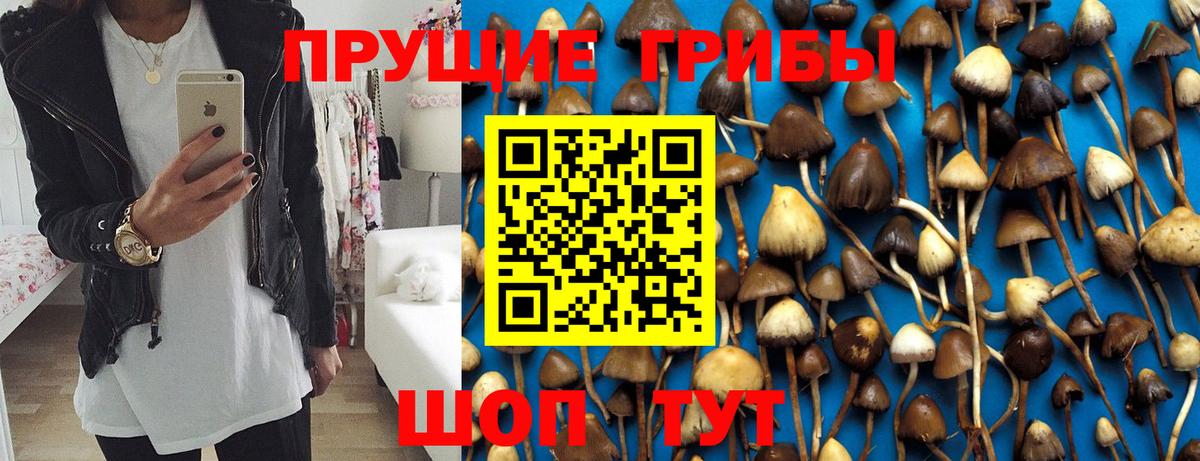 Осинники  НБОМе  Гашиш  Метамфетамин  MDMA  Вход с VPN  Каннабис  Мефедрон   Гашиш  ЭКСТАЗИ 
