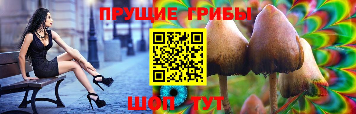 Галлюциногенные грибы мицелий Осинники